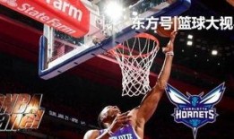 黄蜂爆料乔丹视频大全最新