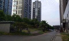 重庆花园城市最新爆料