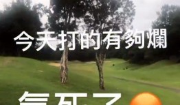 小猪最新动态爆料,揭秘明星私生活与事业新动向