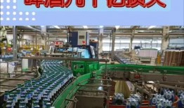 青岛啤酒厂爆料视频最新,独家爆料带你探秘百年酿造工艺