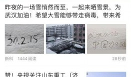 莱芜网红最新爆料,揭秘网红背后的惊人真相！