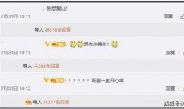 小猪最新动态爆料,揭秘明星私生活与事业新动向