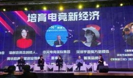 鸿毅电竞爆料最新消息新闻,揭秘电竞行业最新动态与趋势