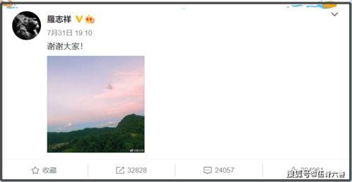 小猪最新动态爆料,揭秘明星私生活与事业新动向