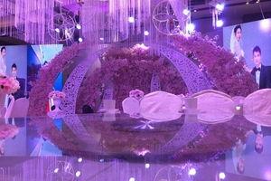 菏泽婚庆媒体爆料最新,浪漫婚礼背后的秘密大揭秘！