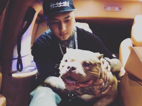 二驴和舒克最新爆料,揭秘娱乐圈幕后真相