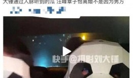 刘大锤最新爆料消息视频,最新爆料视频深度解析