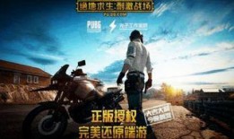 吃鸡兔年爆料视频大全最新,精彩瞬间回顾与前瞻