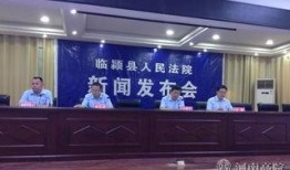 临颍新闻爆料事件最新,真相揭开，舆论漩涡中的正义较量