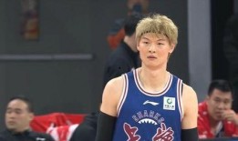 王哲林爆料视频大全集最新,揭秘篮球巨星背后的故事与心路历程