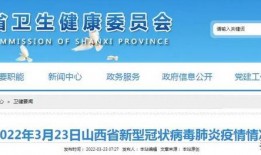 横栏最新爆料新闻报道视频,揭秘视频背后的惊人真相