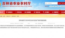 通化爆料最新信息,揭秘事件背后真相