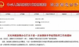 如何看最新爆料信息,深度解析事件背后真相