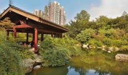 成都武侯祠最新爆料消息,历史遗迹与文化新篇