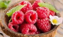 树莓最新爆料视频,揭秘神秘功能与惊艳外观