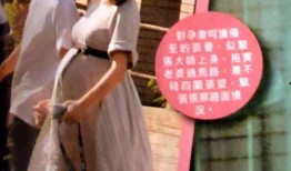 蔡少芬最新爆料,揭秘娱乐圈不为人知的幕后故事