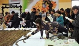 俄罗斯厨子最新爆料新闻,揭秘后厨不为人知的秘密