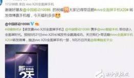 蓝厂最新爆料电话,神秘电话揭示全新旗舰手机细节