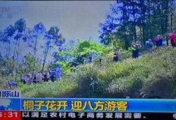 风景哥爆料视频大全最新,视频大全精彩瞬间大盘点