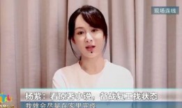 杨紫小说爆料最新章节免费阅读,揭秘剧情高潮，免费阅读抢先看